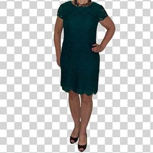 Laundry by Shelli Segal * Jade Green Lace Cocktail Dress * Size 6